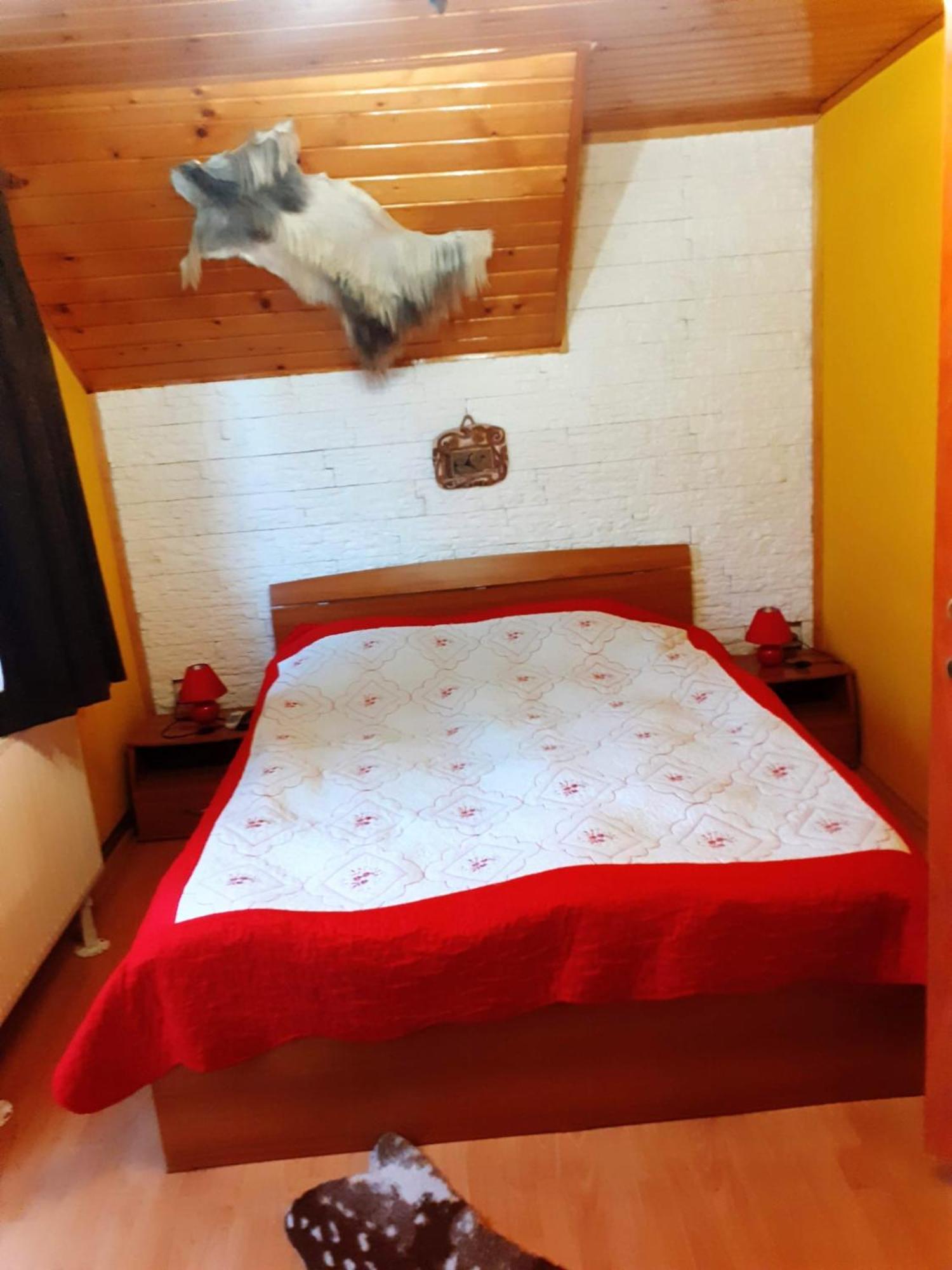Colt De Rai Villa Bran  Bagian luar foto