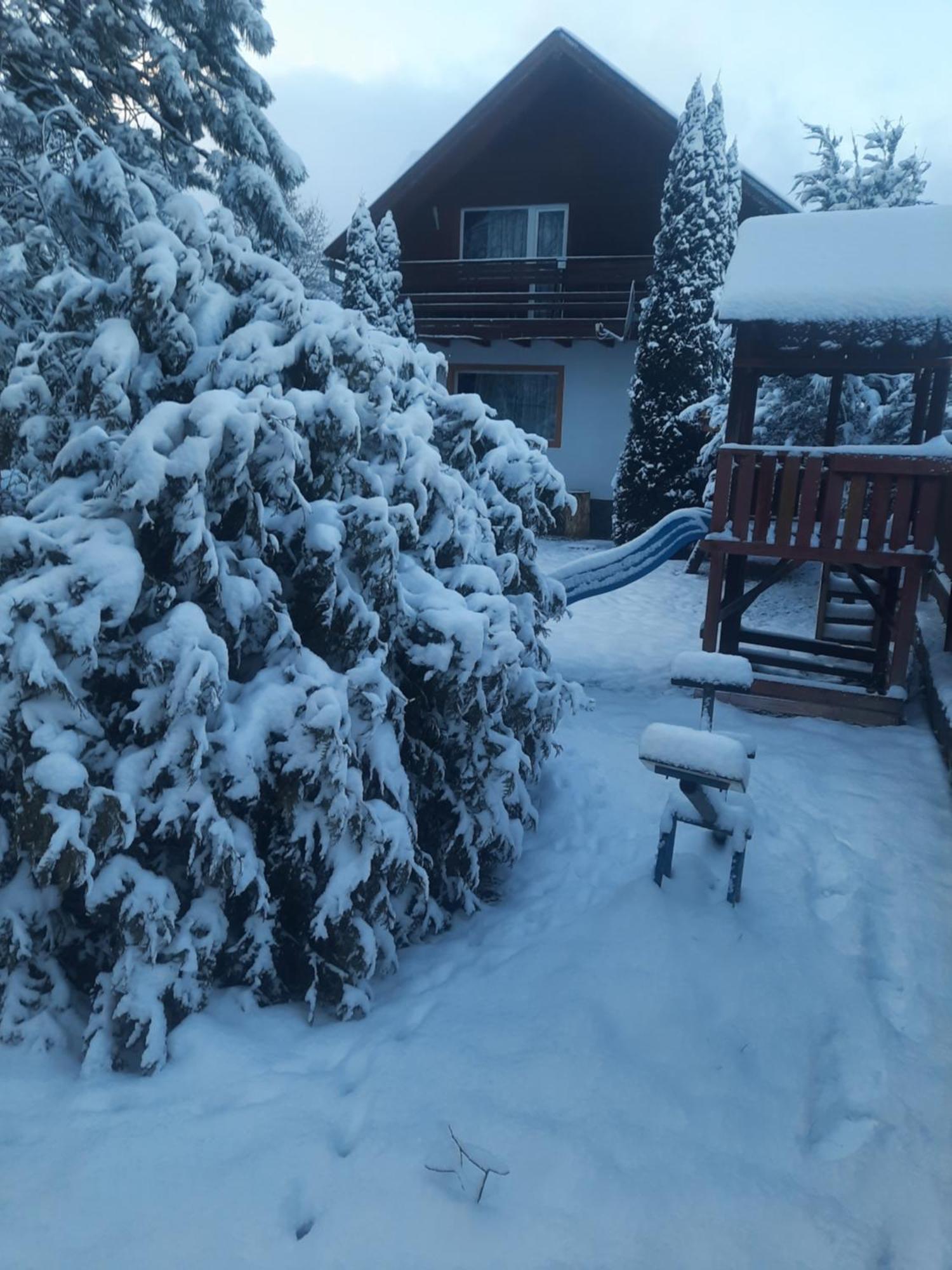 Colt De Rai Villa Bran  Bagian luar foto