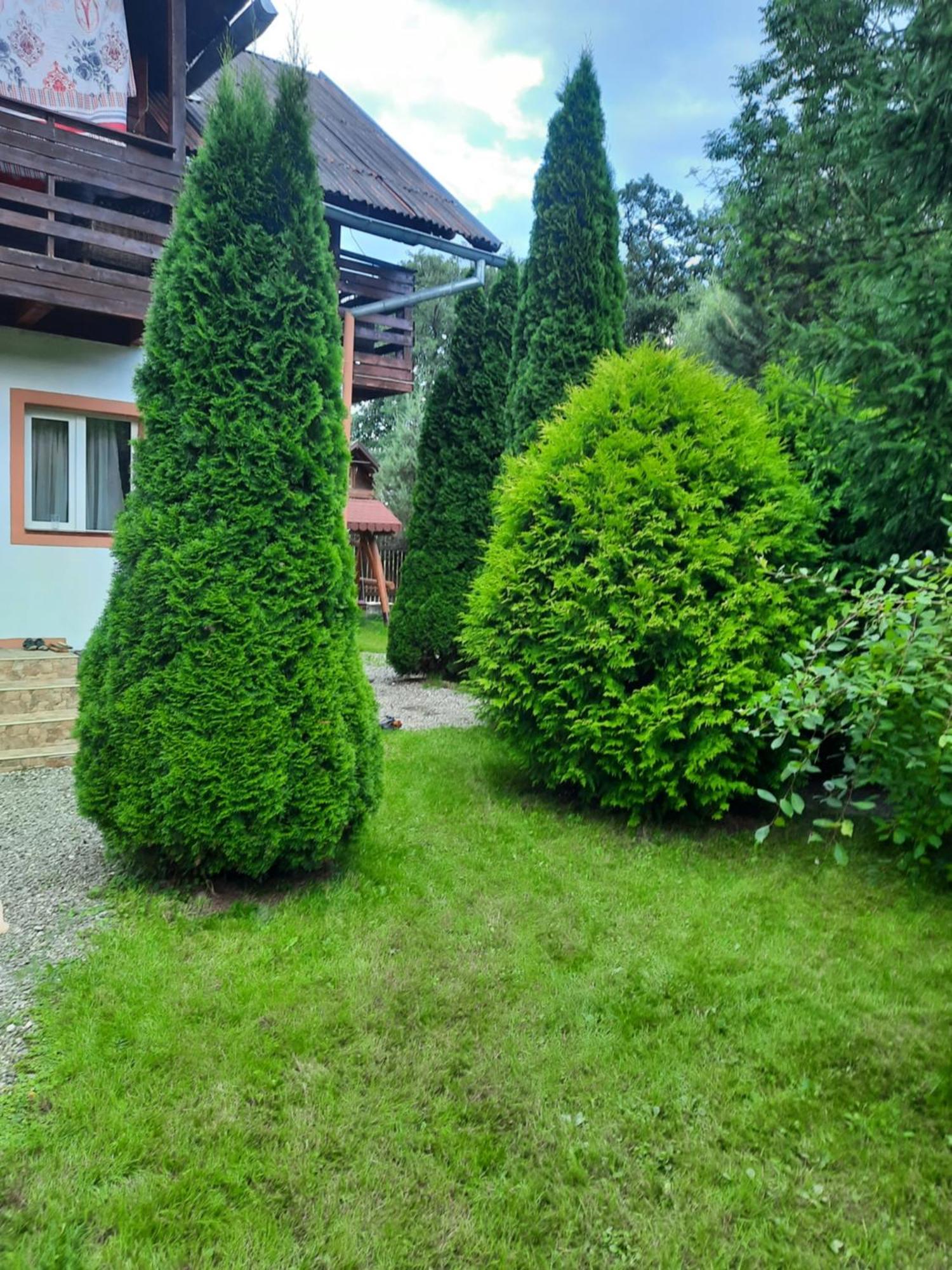 Colt De Rai Villa Bran  Bagian luar foto