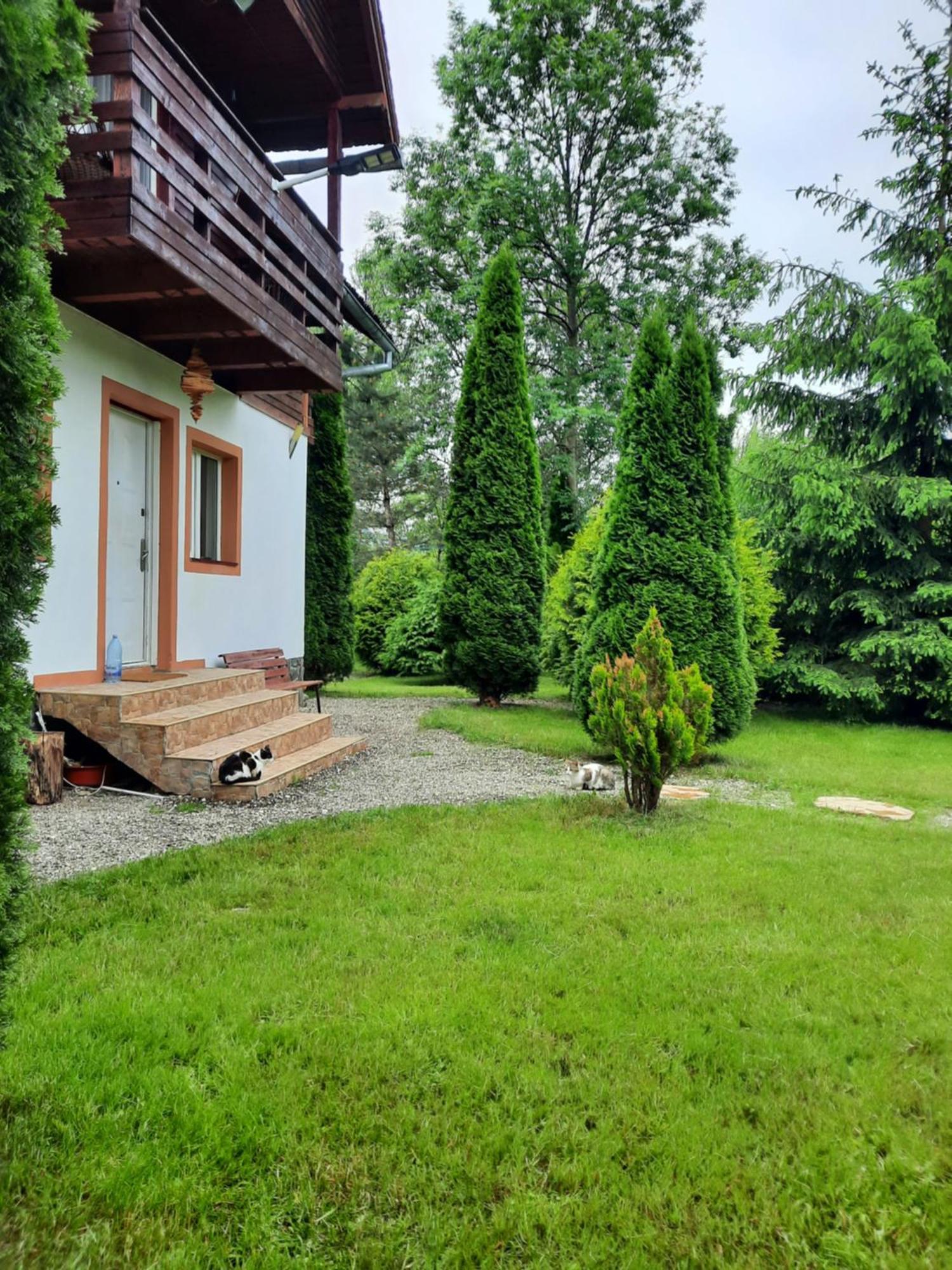 Colt De Rai Villa Bran  Bagian luar foto